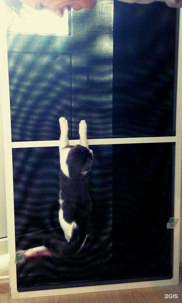 Отзывы на компанию МоскитныеСетки161.рф в г. Ростов-на-Дону c фото