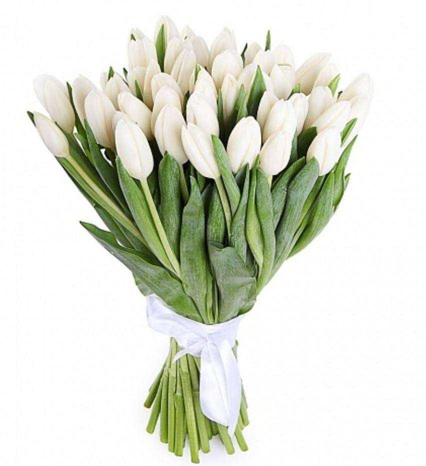 Отзывы на компанию Цветочный рай в Перми c фото