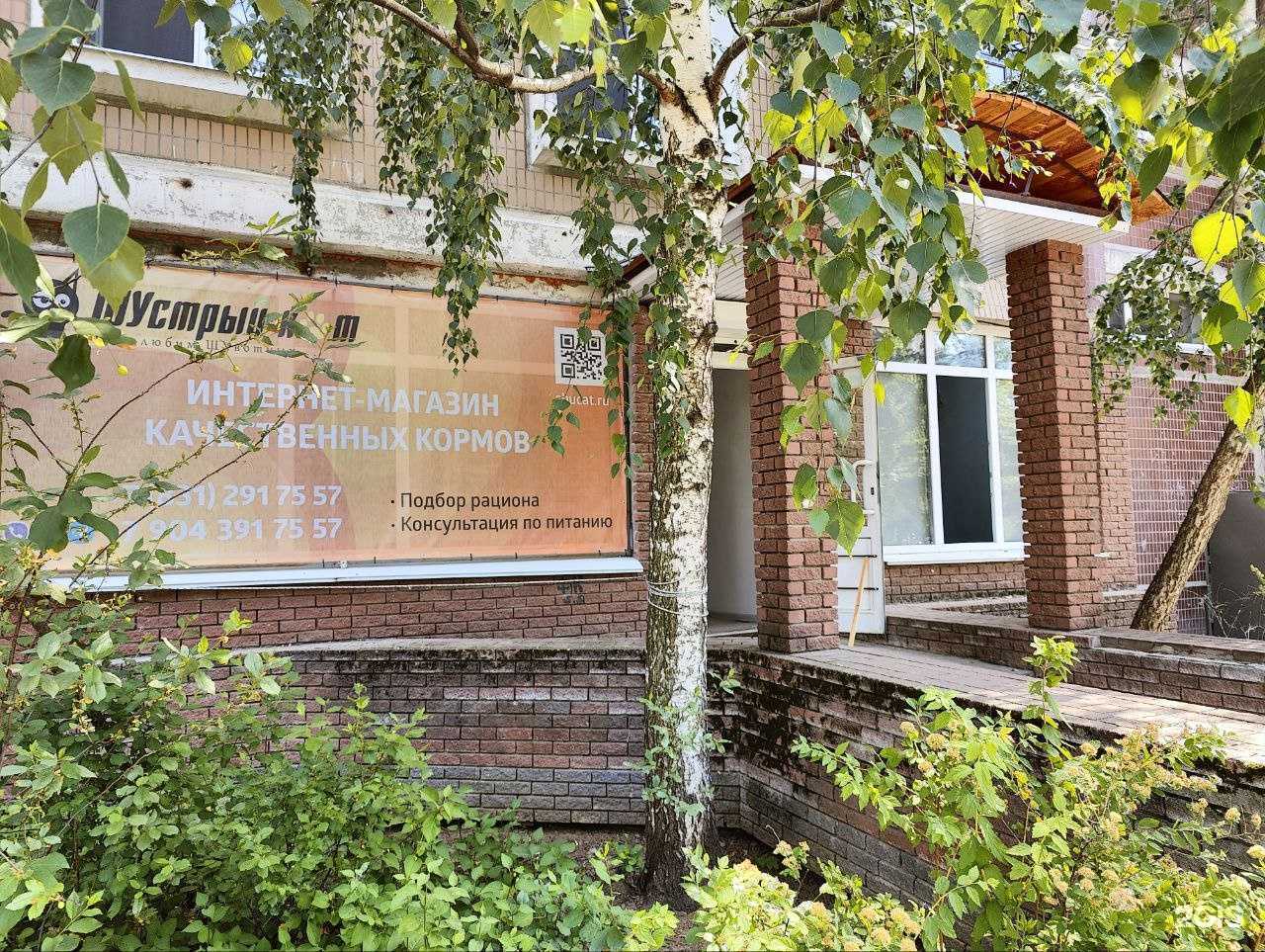 Отзывы на компанию Шустрый кот в Нижнем Новгороде c фото