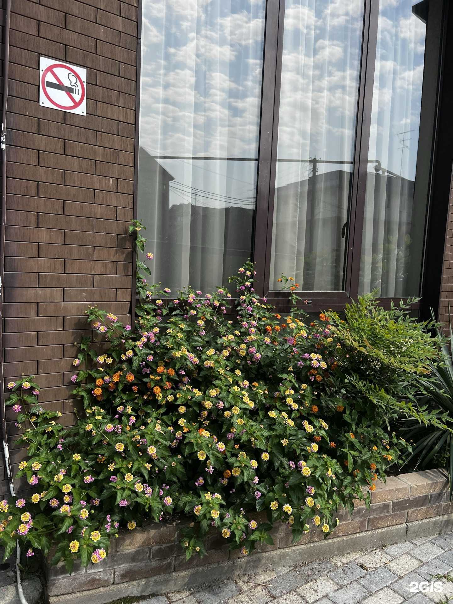 Отзывы на компанию Center plaza в Сочи c фото - фотография 2 из 2