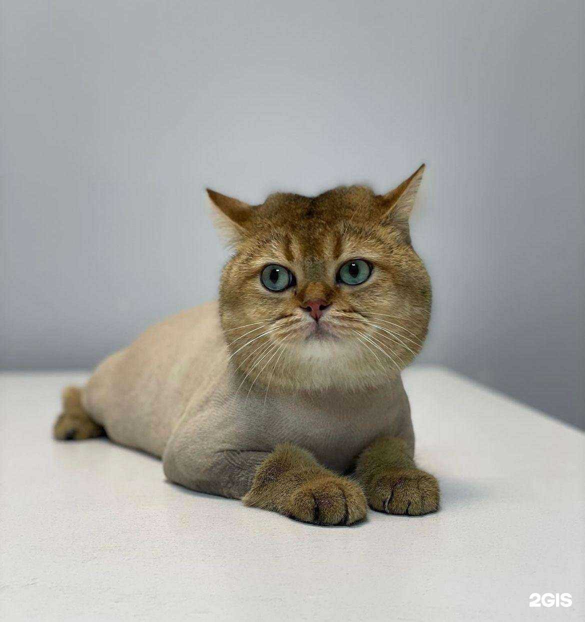 Отзывы на компанию Vet Econom в г. Махачкала c фото