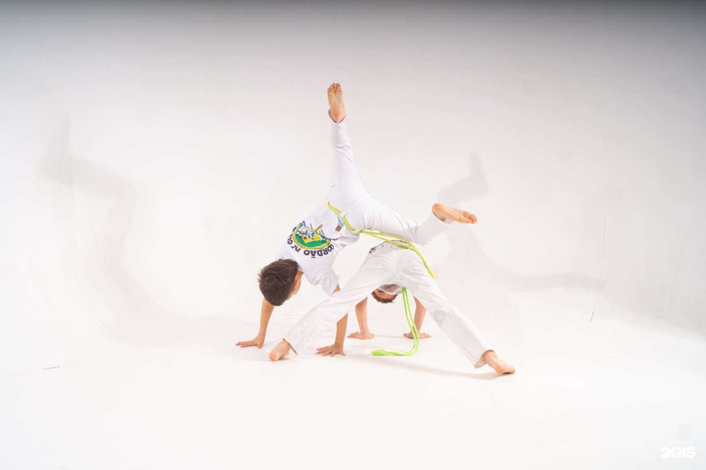 Отзывы на компанию Tartaruga branca в Красноярске c фото