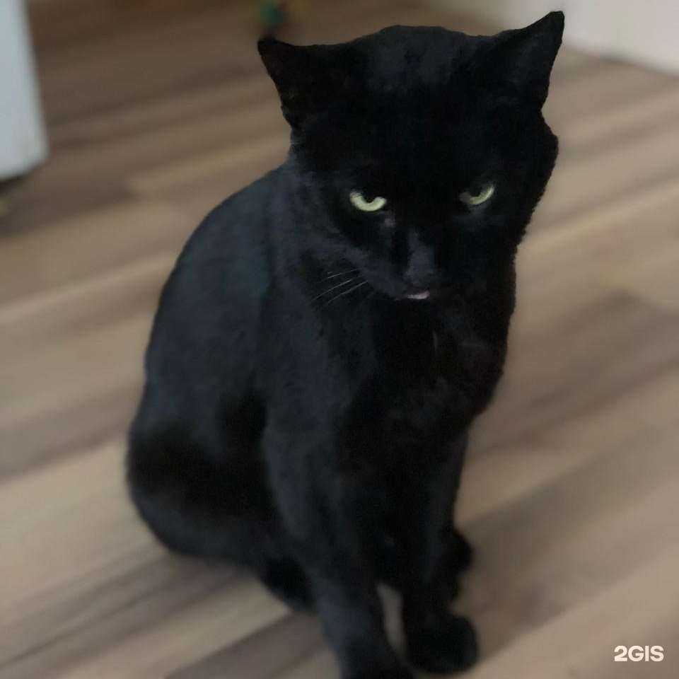 Отзывы на компанию Сокол в г. Ставрополь c фото