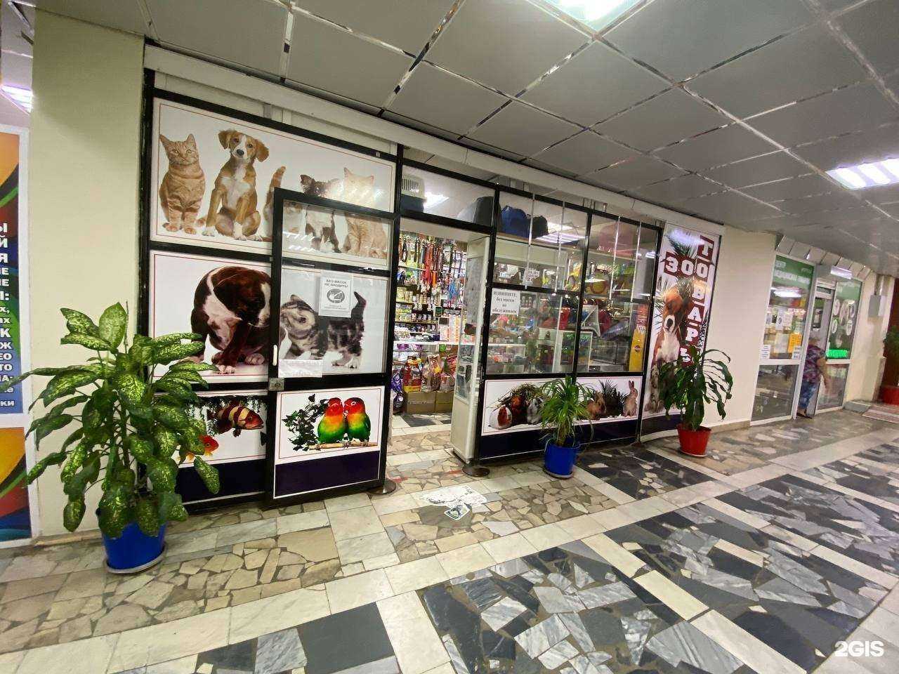 Отзывы на компанию Магазин зоотоваров в г. Тольятти c фото