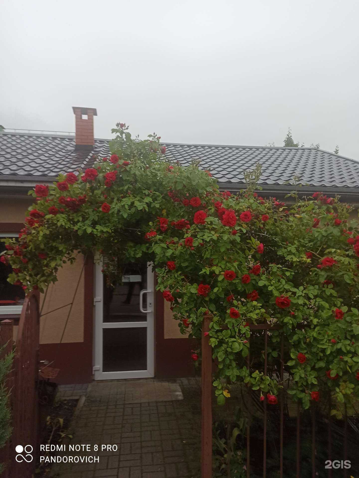 Отзывы на компанию Парикмахерская в Калининграде c фото - фотография 2 из 2