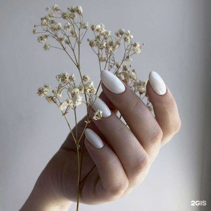 Отзывы на компанию Эдэль в Петропавловске-Камчатском c фото