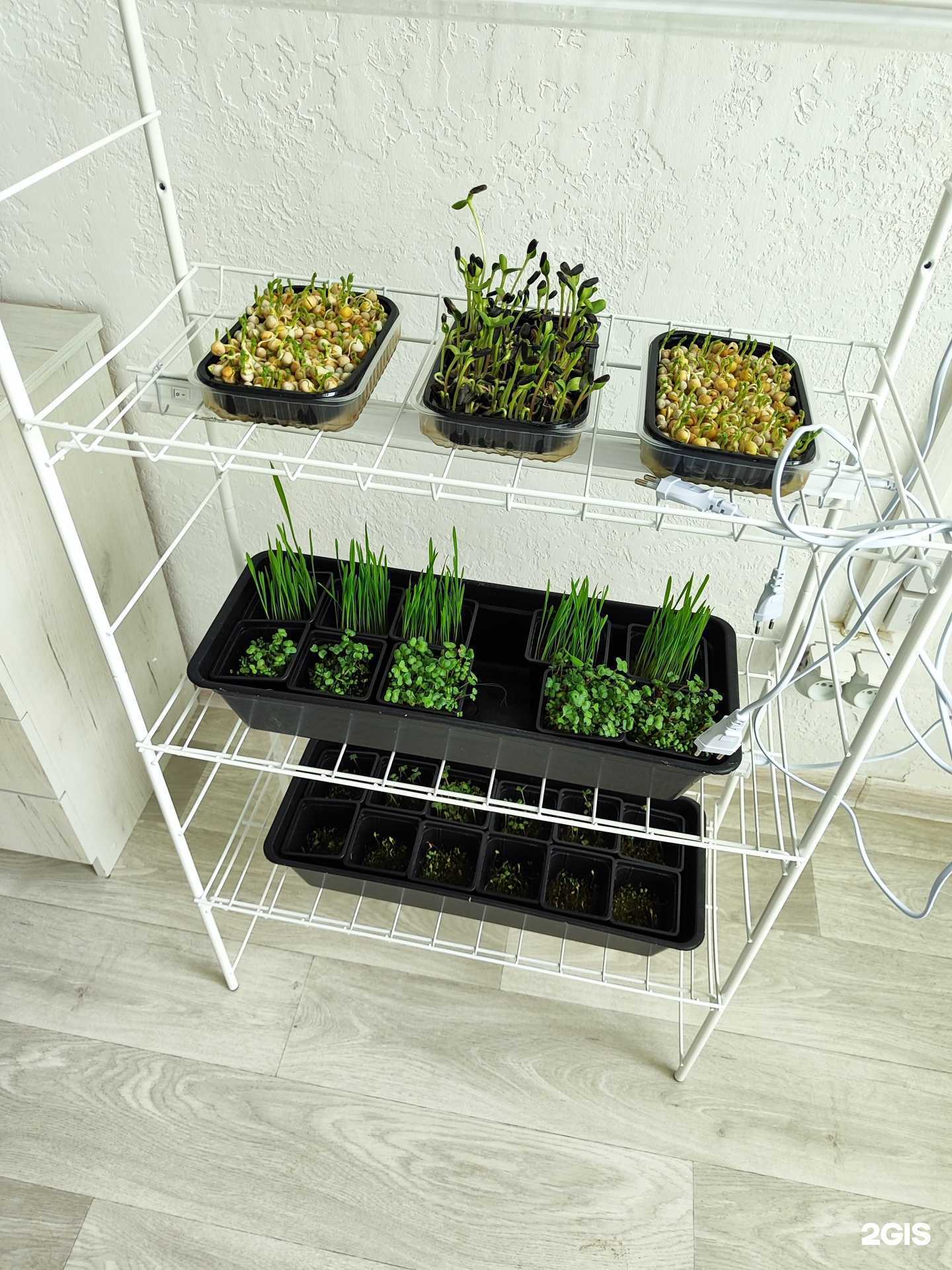 Отзывы на компанию Матушка Гусыня в Нижнем Новгороде c фото