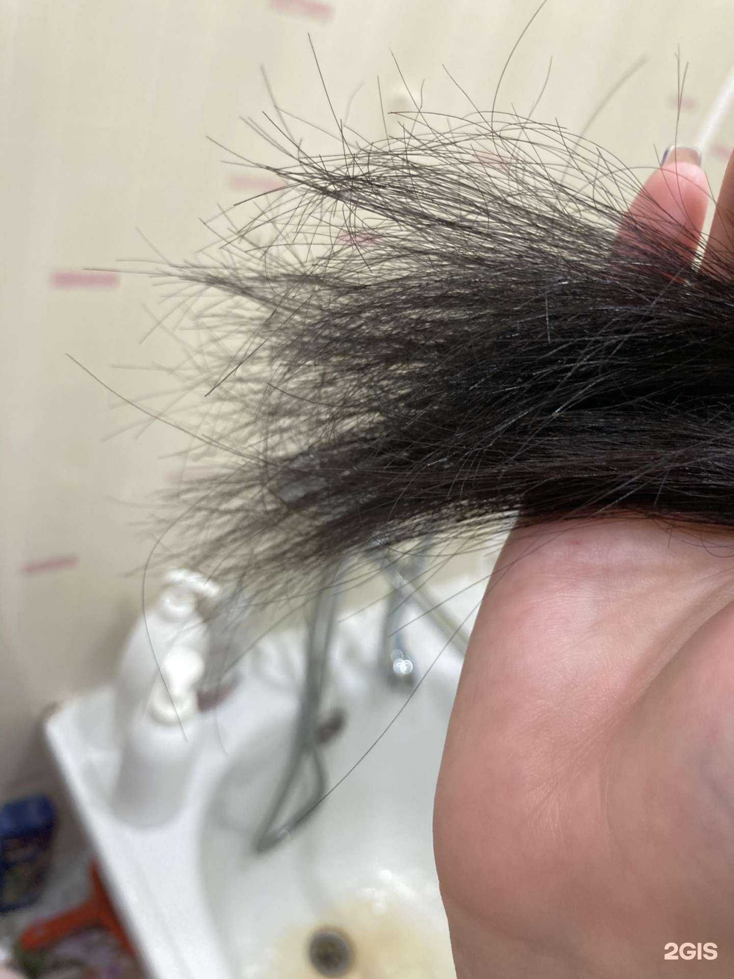 Отзывы на компанию Елисей в г. Сыктывкар c фото