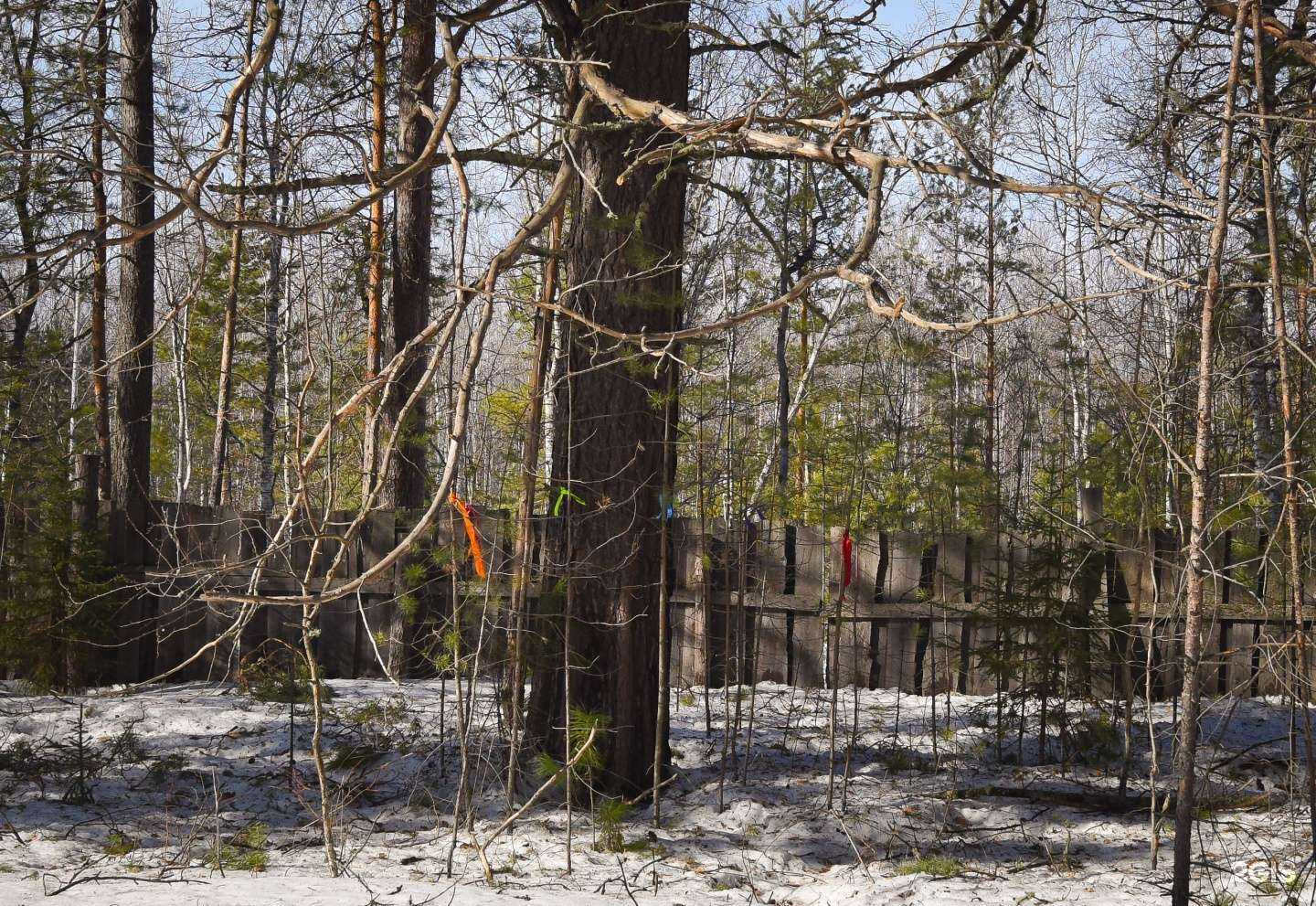 Отзывы на компанию Золотой арбалет в г. Красноярск c фото