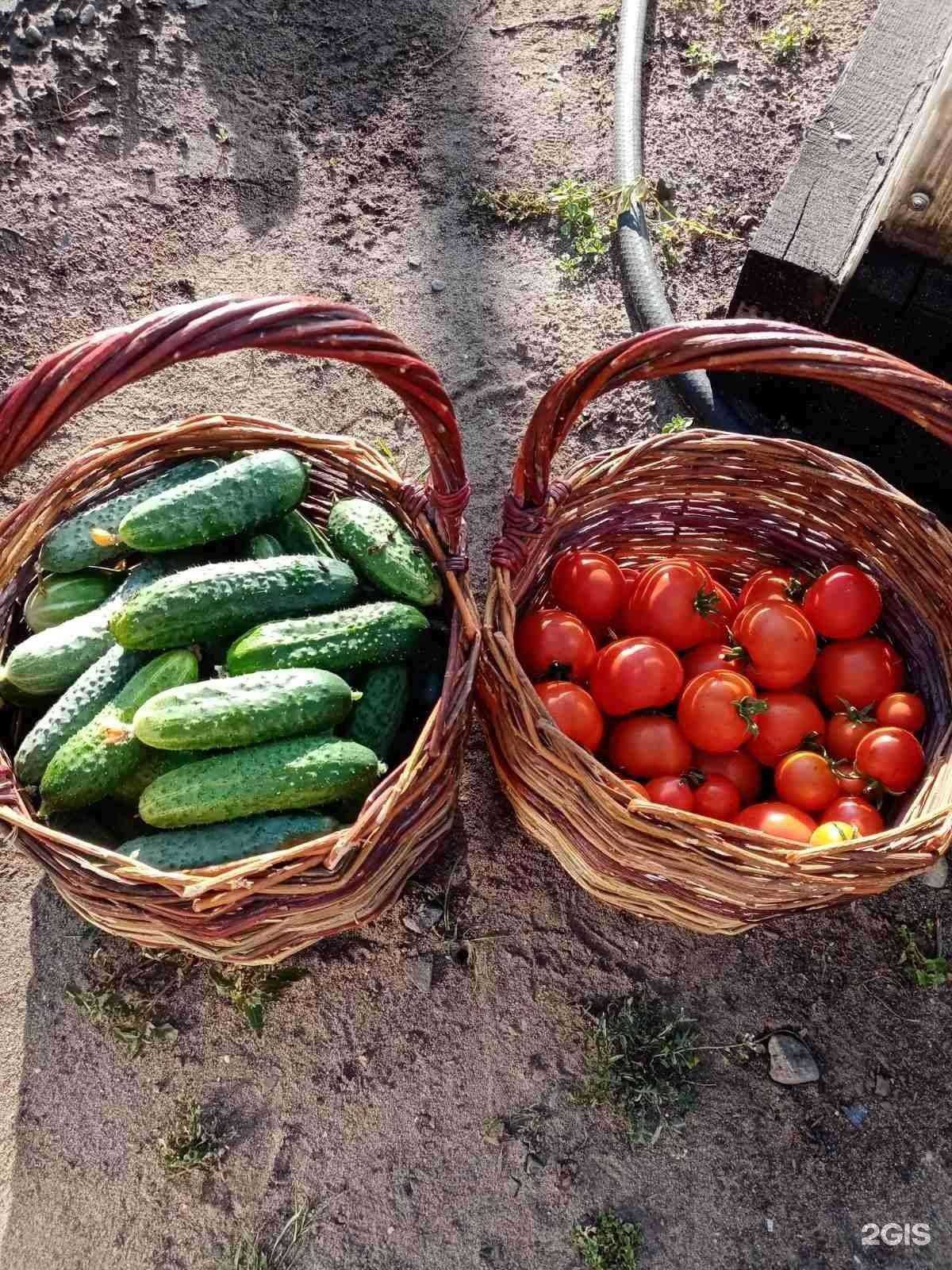 Отзывы на компанию Сота в Иркутске c фото