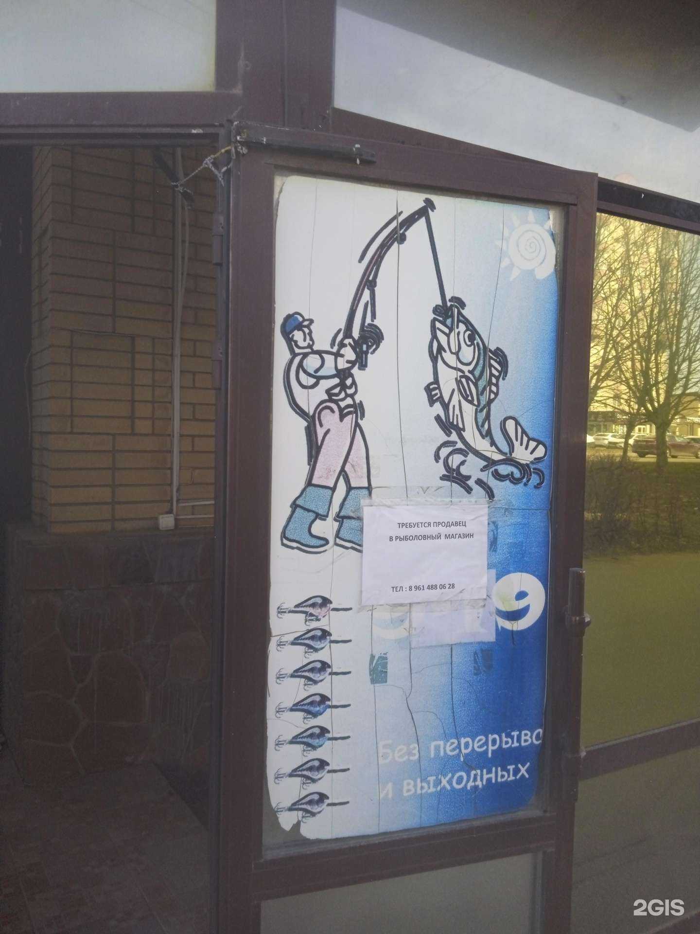 Отзывы на компанию Путина в Ставрополе c фото