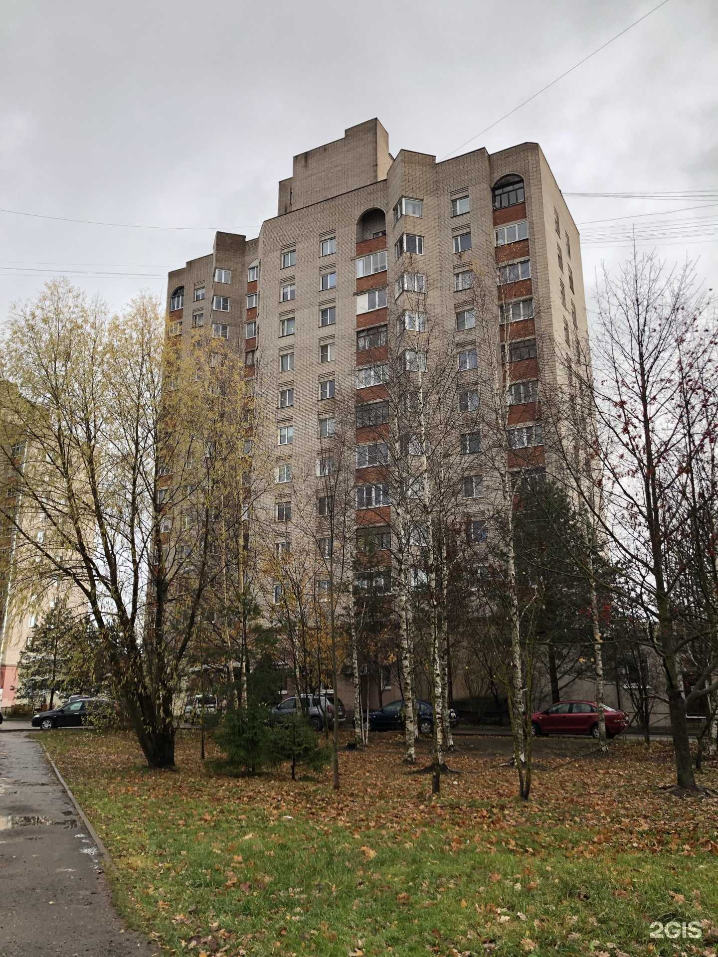 Отзывы на компанию Оптика Великий Новгород в Великом Новгороде c фото - фотография 2 из 2