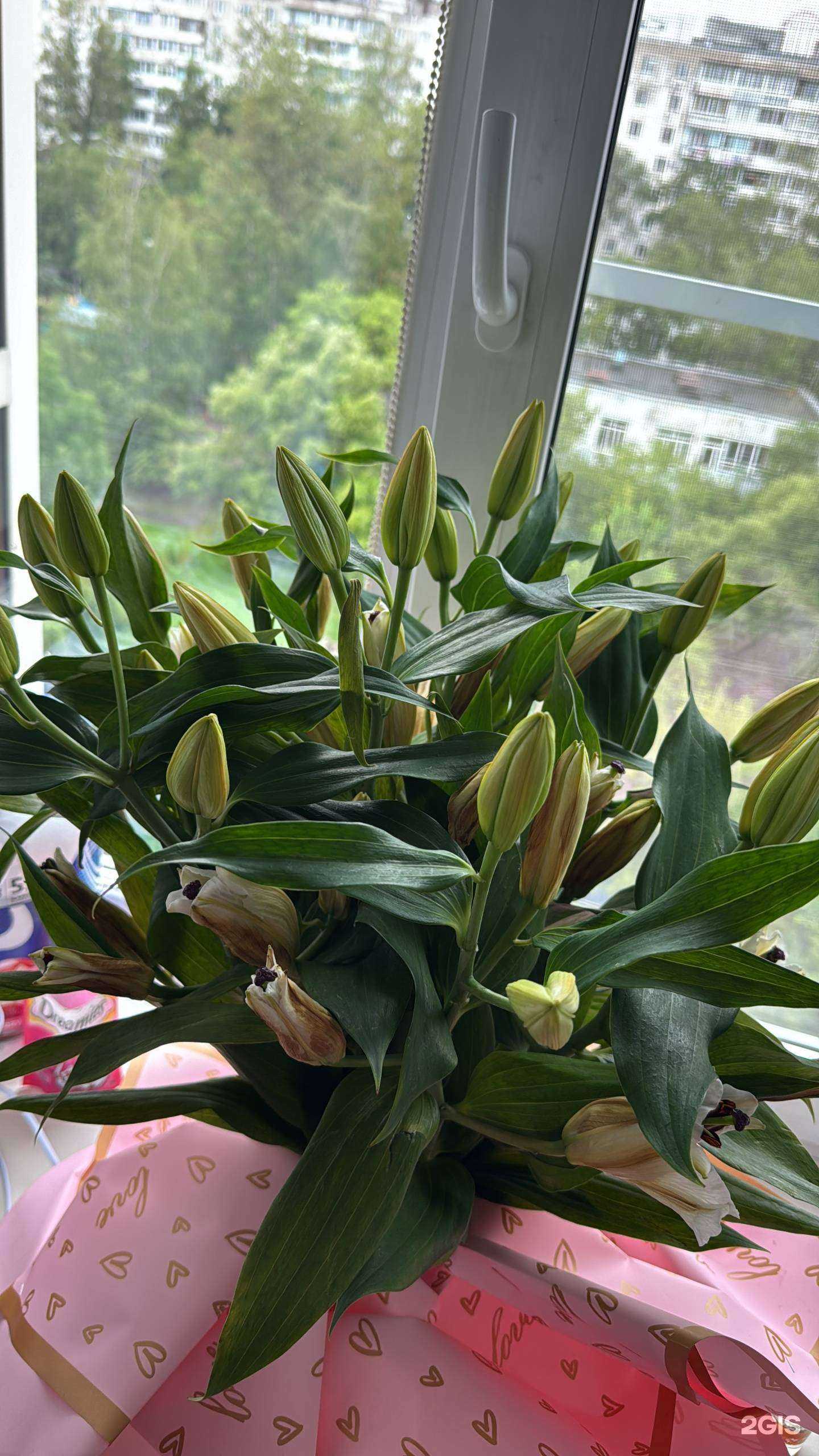 Отзывы на компанию Azeriflores в г. Хабаровск c фото