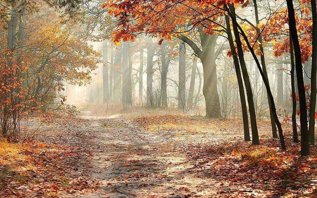 Отзывы на компанию Мерадом в Костроме c фото