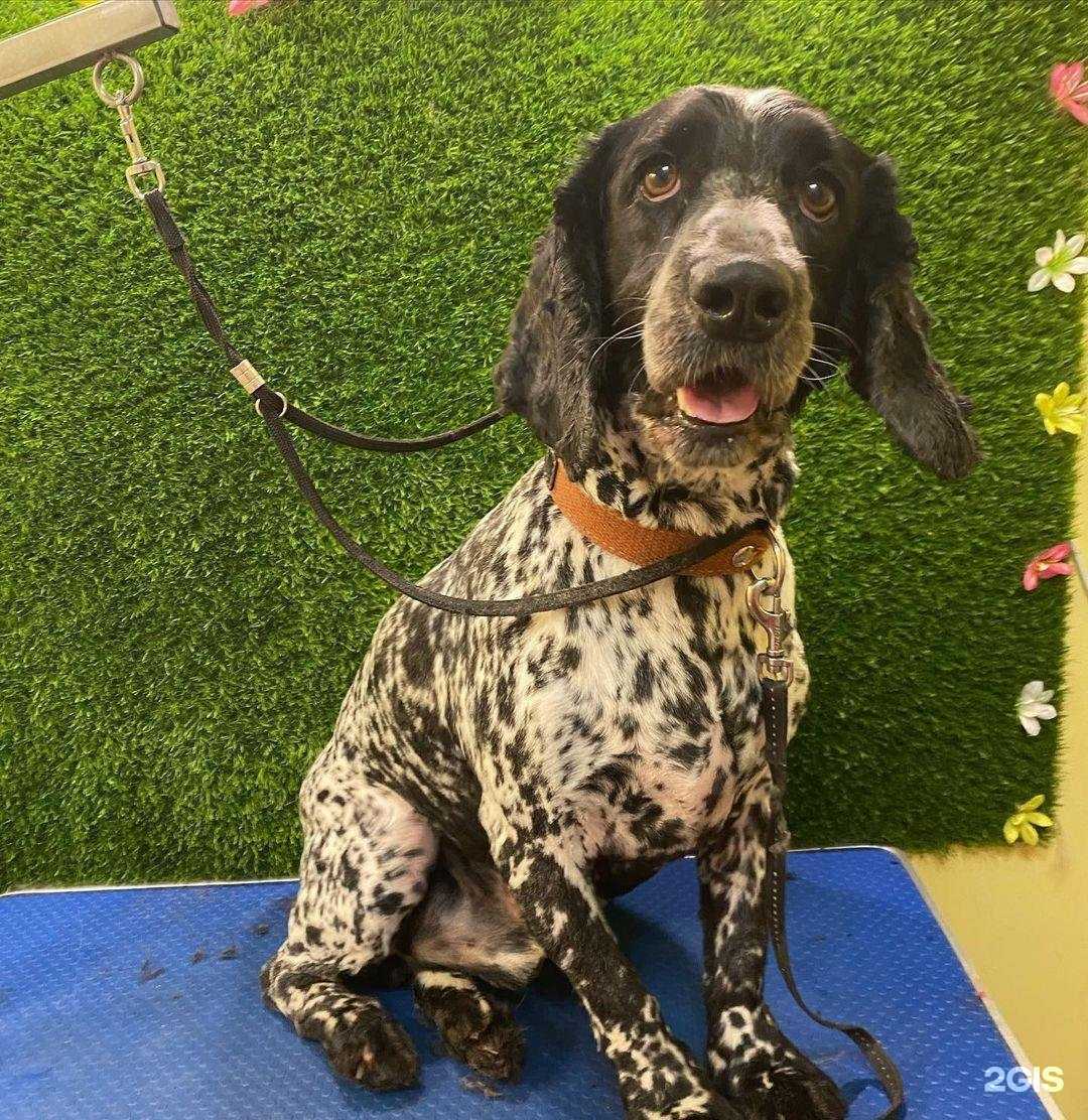 Отзывы на компанию Roxy_groom_ufa в г. Уфа c фото