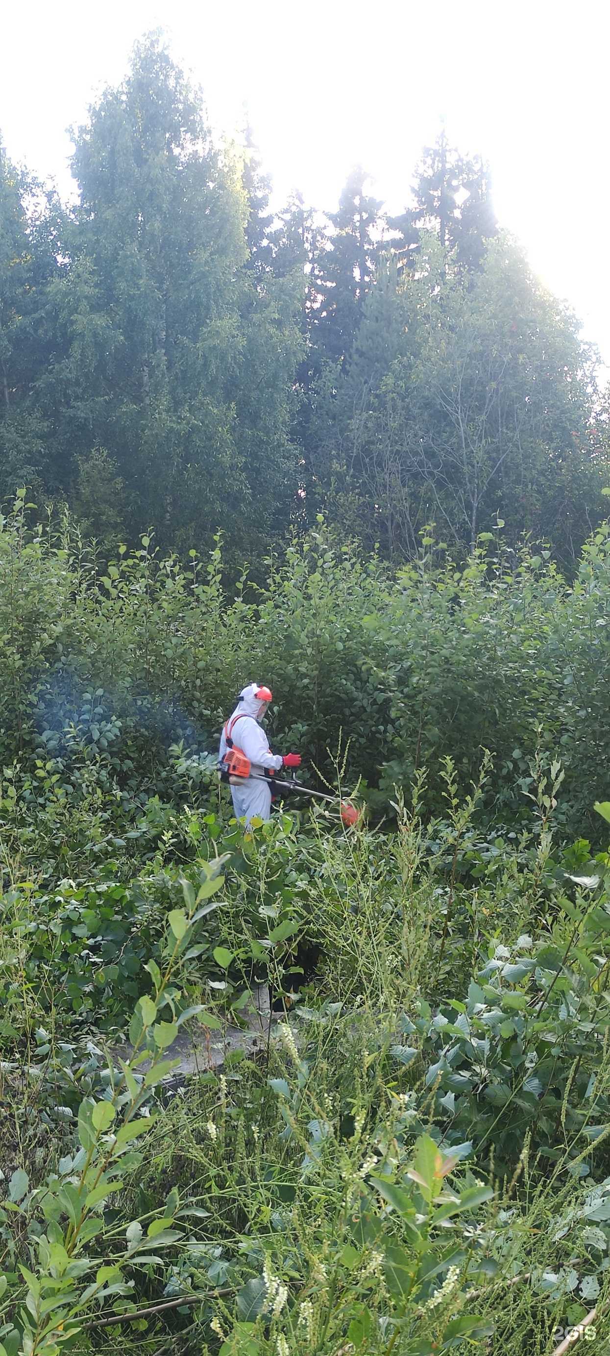 Отзывы на компанию MegaDez в Сыктывкаре c фото