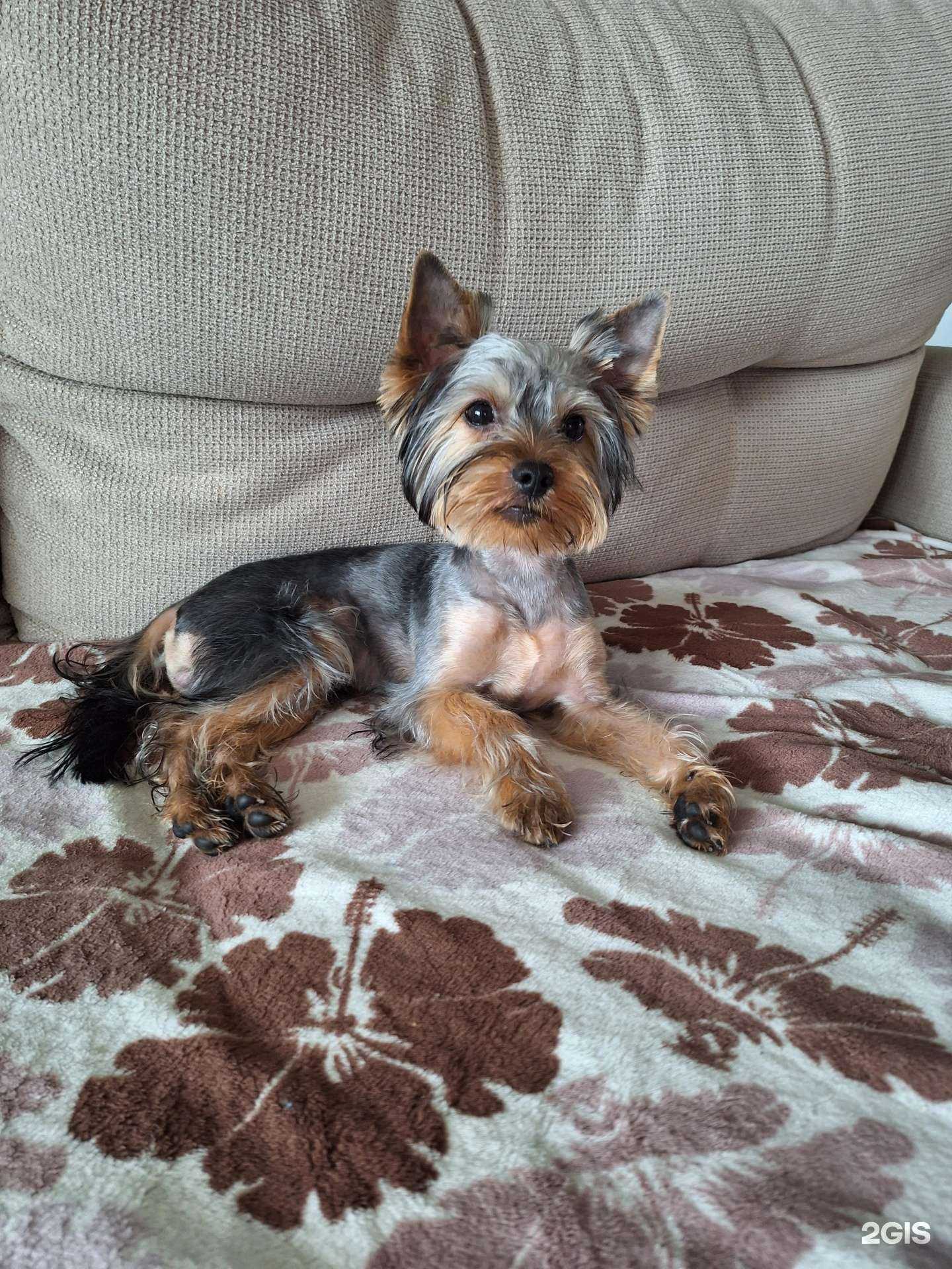 Отзывы на компанию Фортуна Белль в г. Владивосток c фото