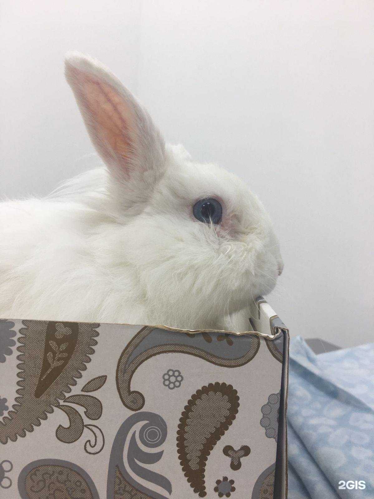 Отзывы на компанию РостВет в Ростове-на-Дону c фото