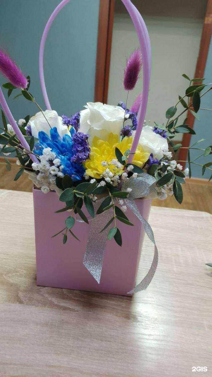 Отзывы на компанию Rosa Vetrov в г. Красноярск c фото