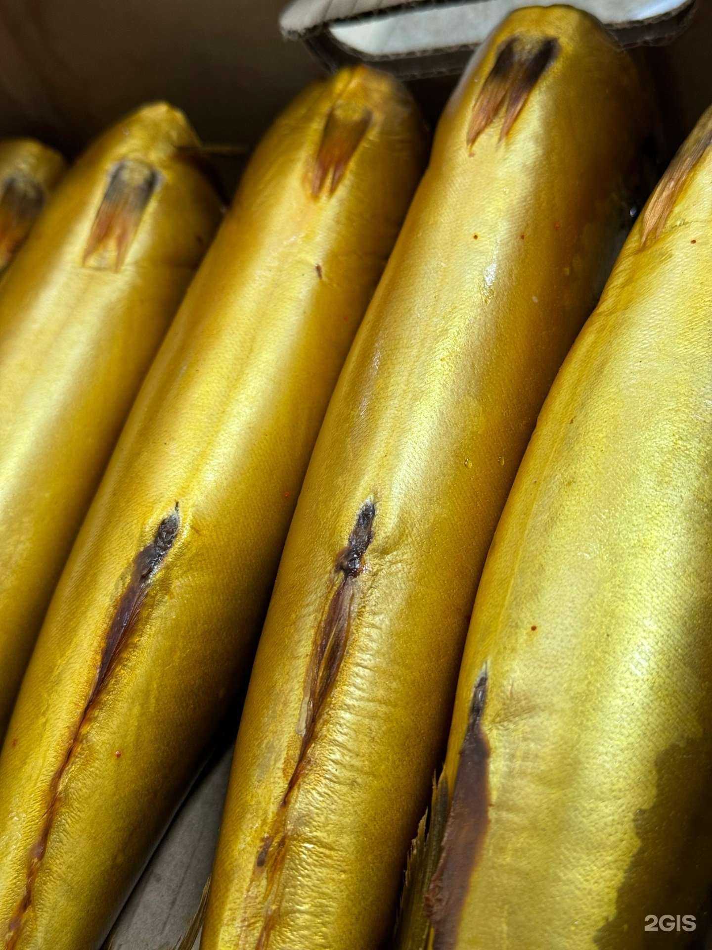 Отзывы на компанию Живая рыба в Пензе c фото