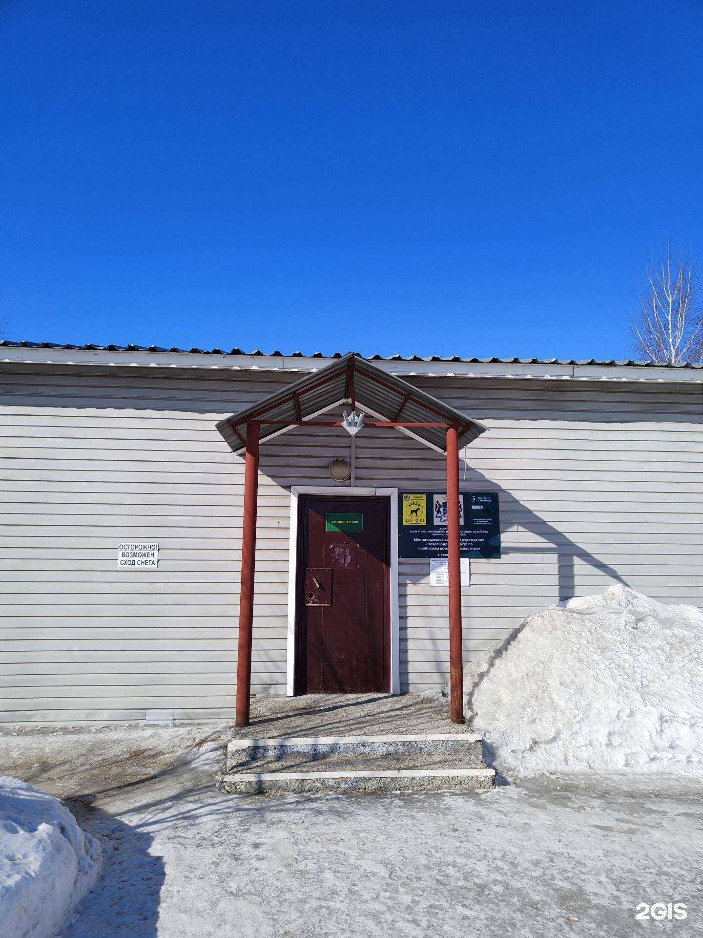 Отзывы на компанию Новосибирский центр по проблемам домашних животных в Новосибирске c фото - фотография 2 из 2