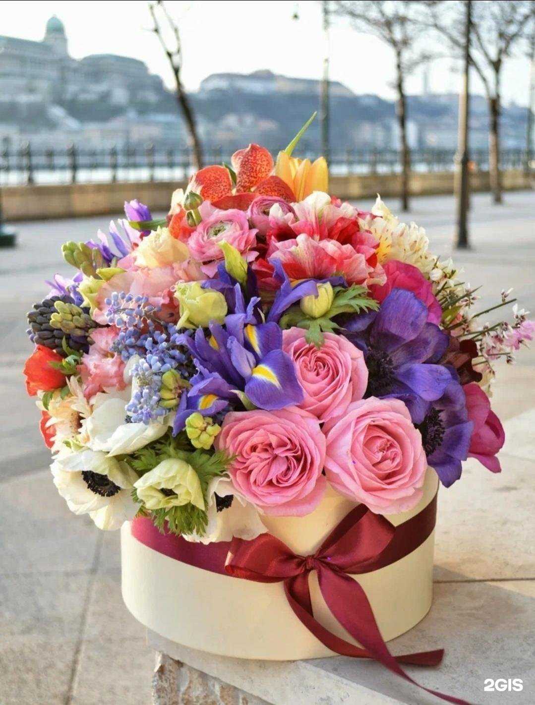 Отзывы на компанию Цветочный магазин в г. Новороссийск c фото