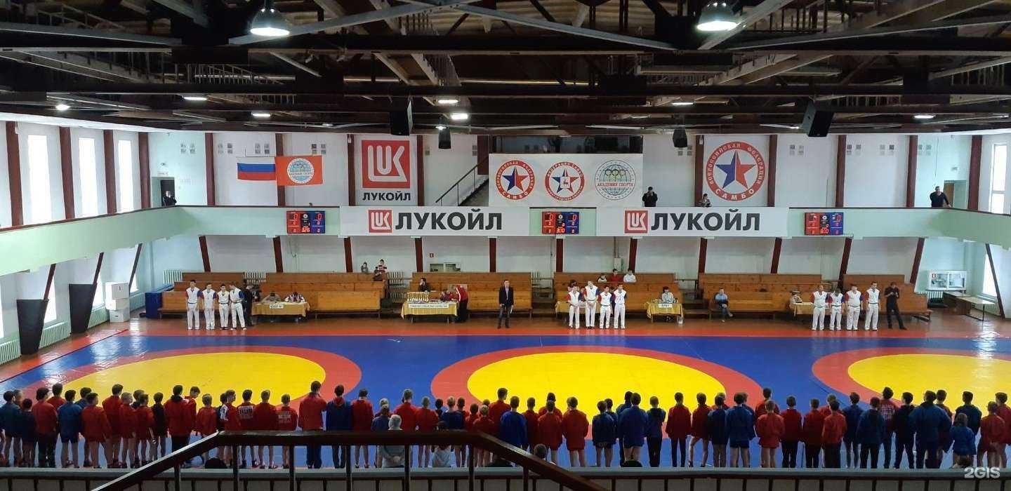 Отзывы на компанию Секция борьбы самбо в Нижнем Новгороде c фото