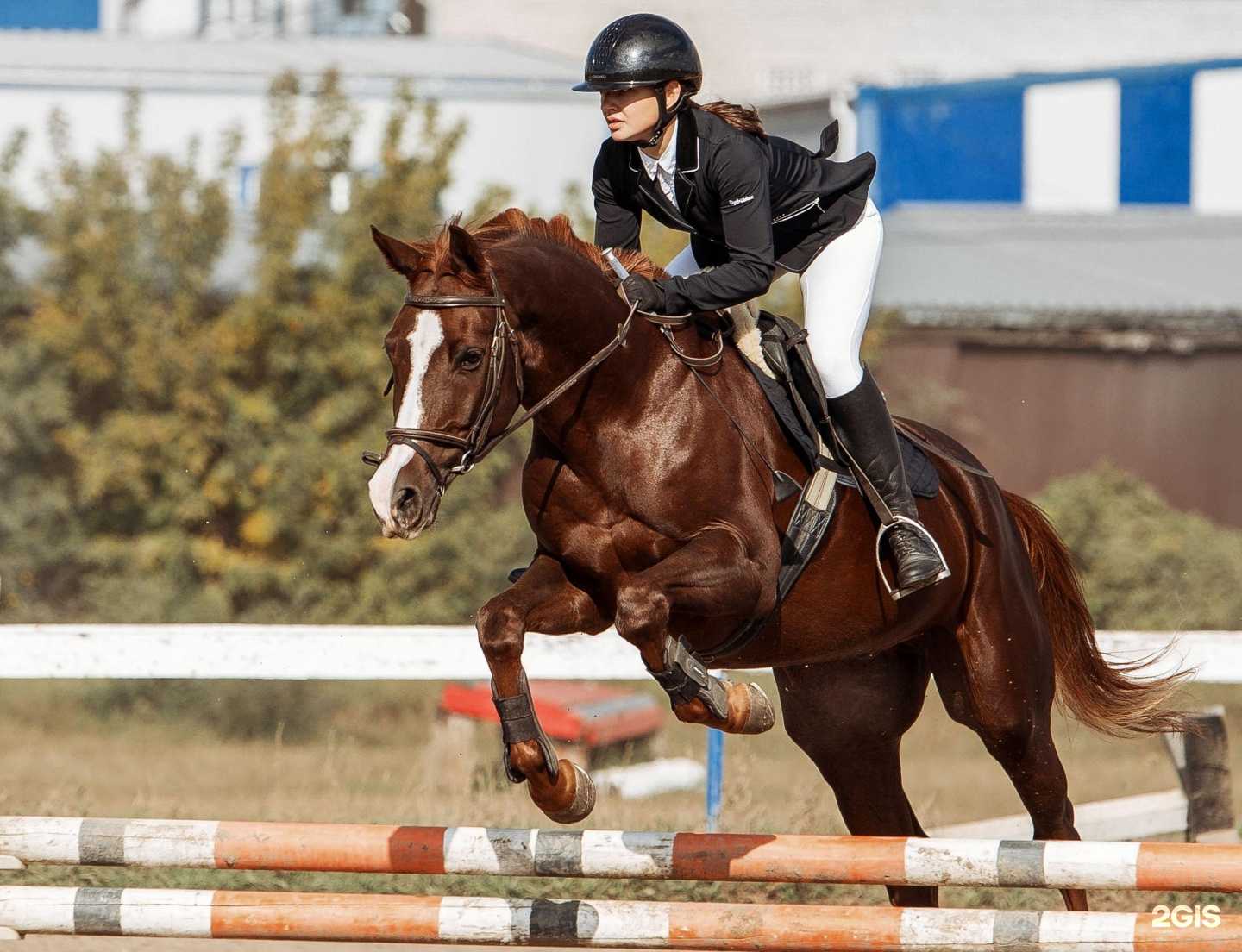 Отзывы на компанию Дерби в г. Красноярск c фото