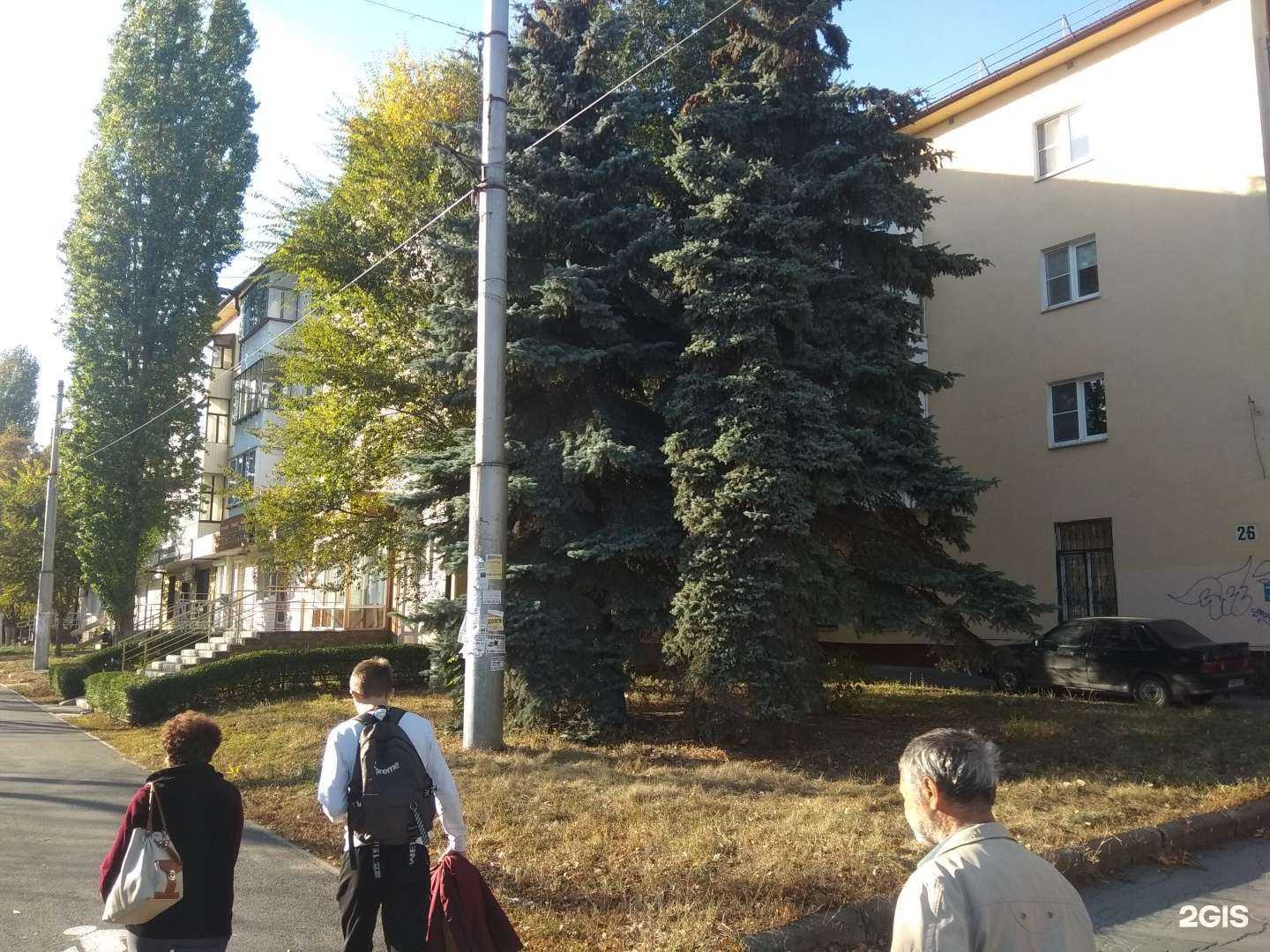 Отзывы на компанию Лимон в Липецке c фото - фотография 2 из 2