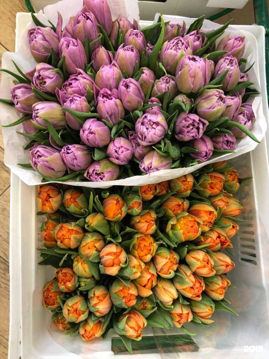 Отзывы на компанию Теплица в Казани c фото