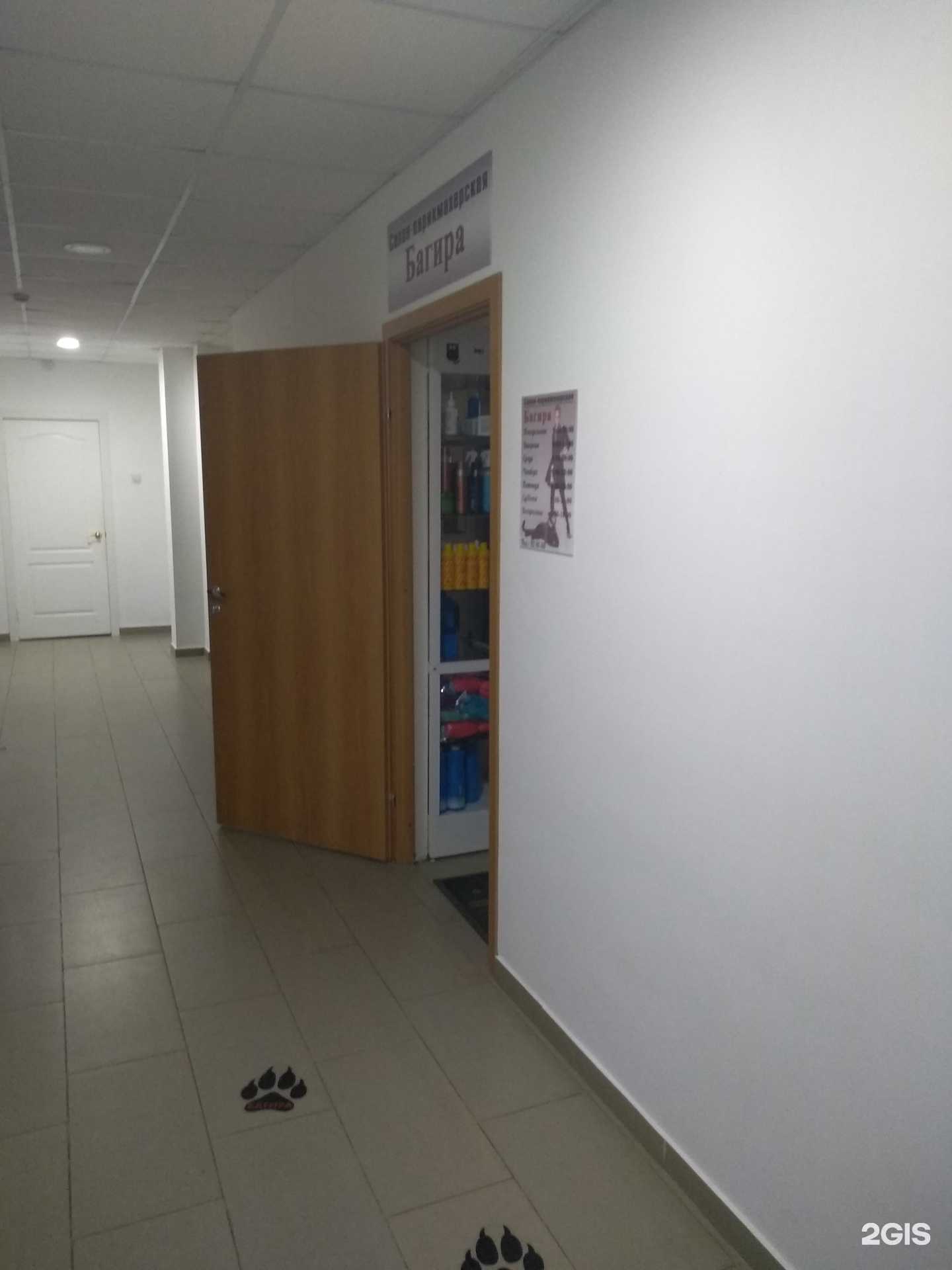 Отзывы на компанию Багира в г. Иваново c фото