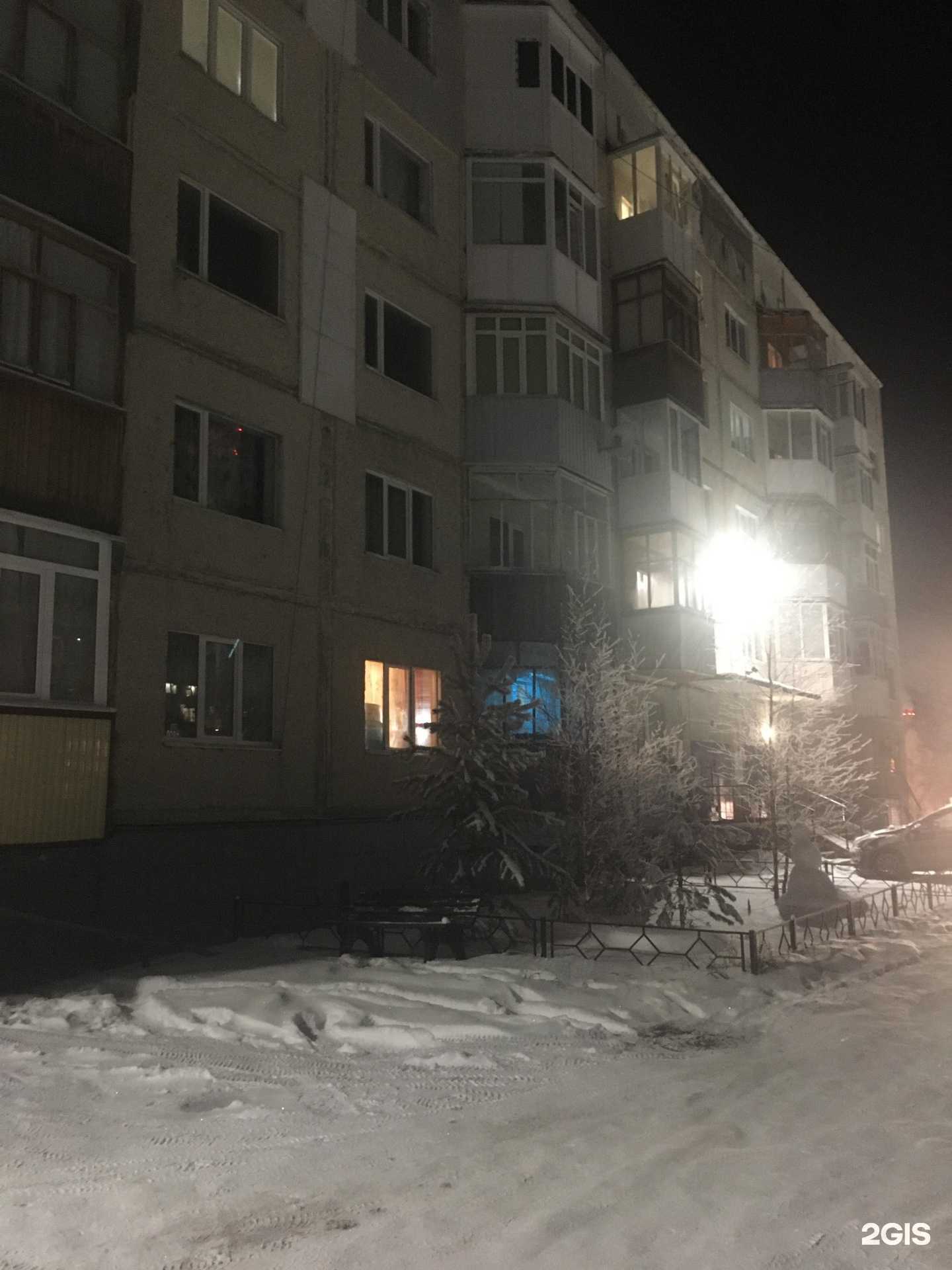 Отзывы на компанию Зоомир+ в Ноябрьске c фото - фотография 2 из 2