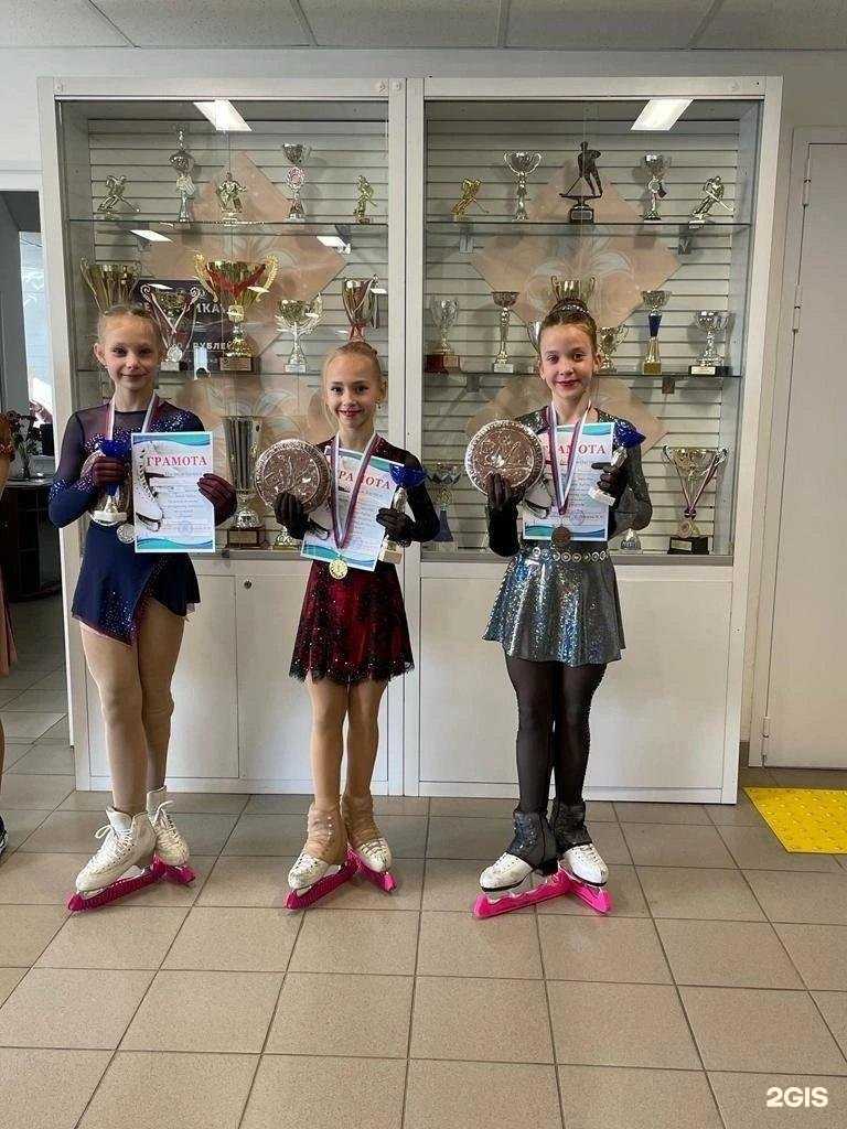 Отзывы на компанию Ледовый в г. Липецк c фото