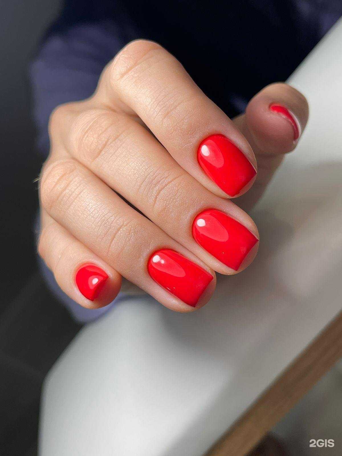 Отзывы на компанию Lиса в Краснодаре c фото