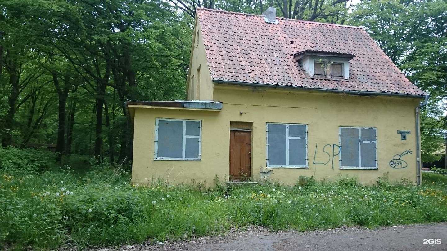 Отзывы на компанию Ника в г. Светлогорск c фото