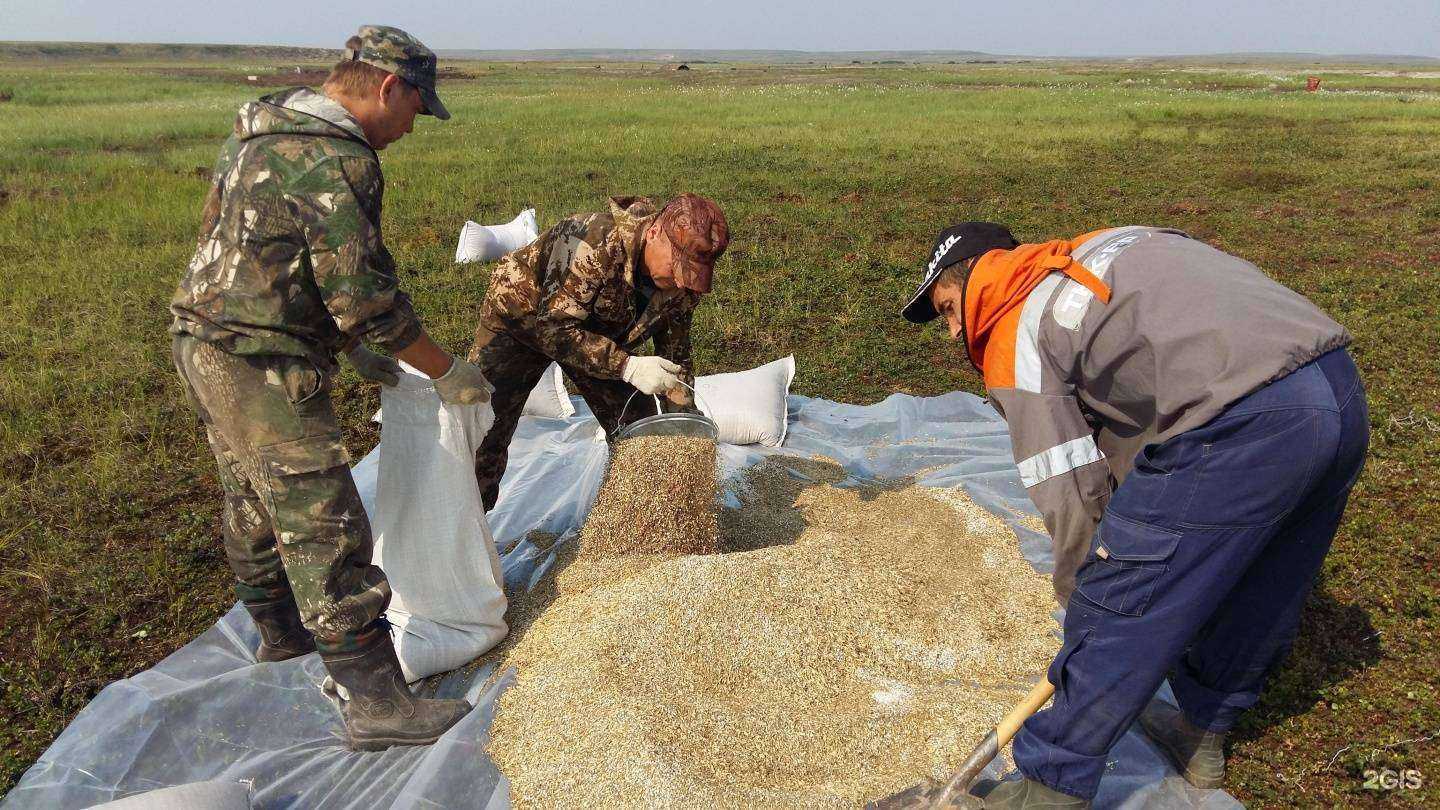 Отзывы на компанию Экоресурс в г. Тюмень c фото