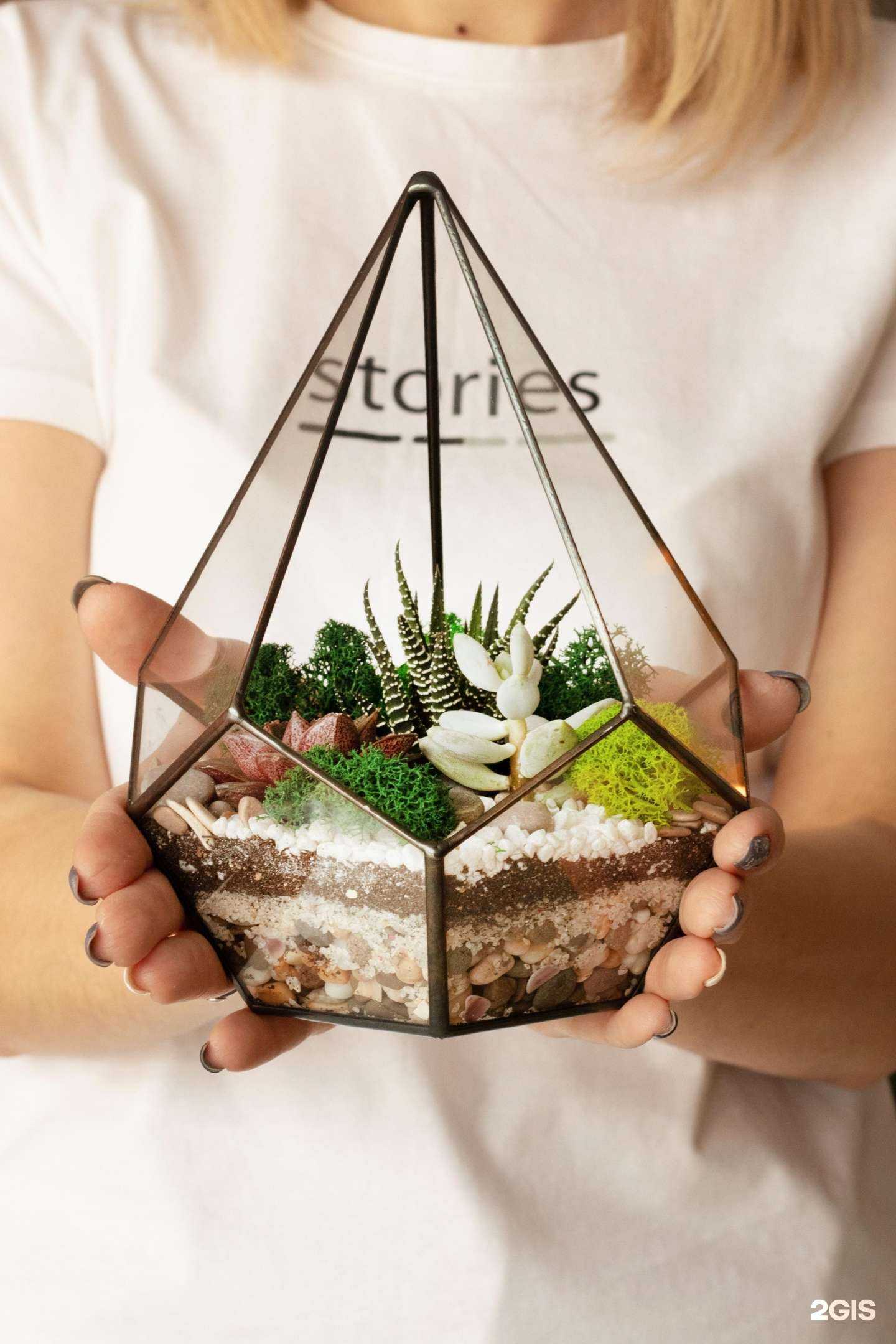 Отзывы на компанию Студия флорариумов и фитодизайна в г. Омск c фото