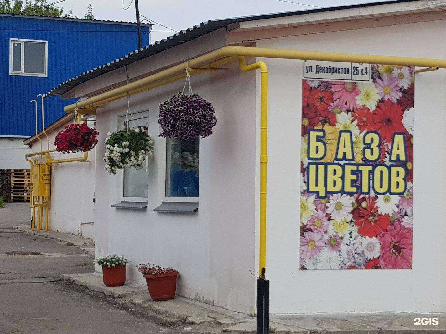 Отзывы на компанию Микс в Рязани c фото