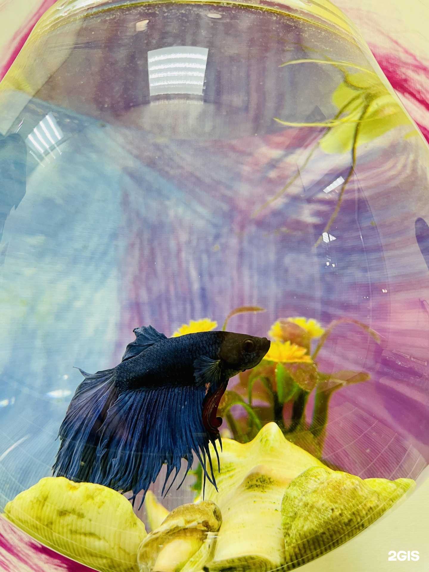 Отзывы на компанию Злата в Сочи c фото