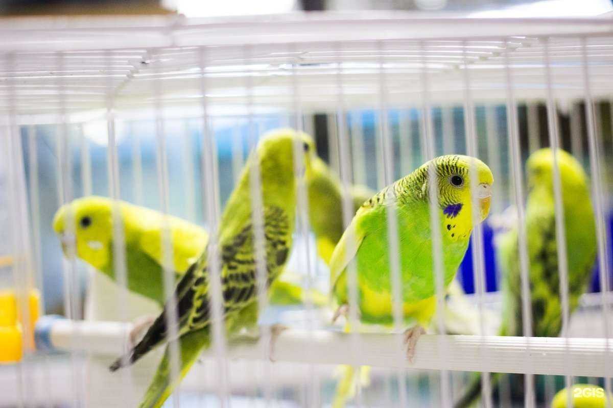 Отзывы на компанию Рыбакот в г. Чита c фото