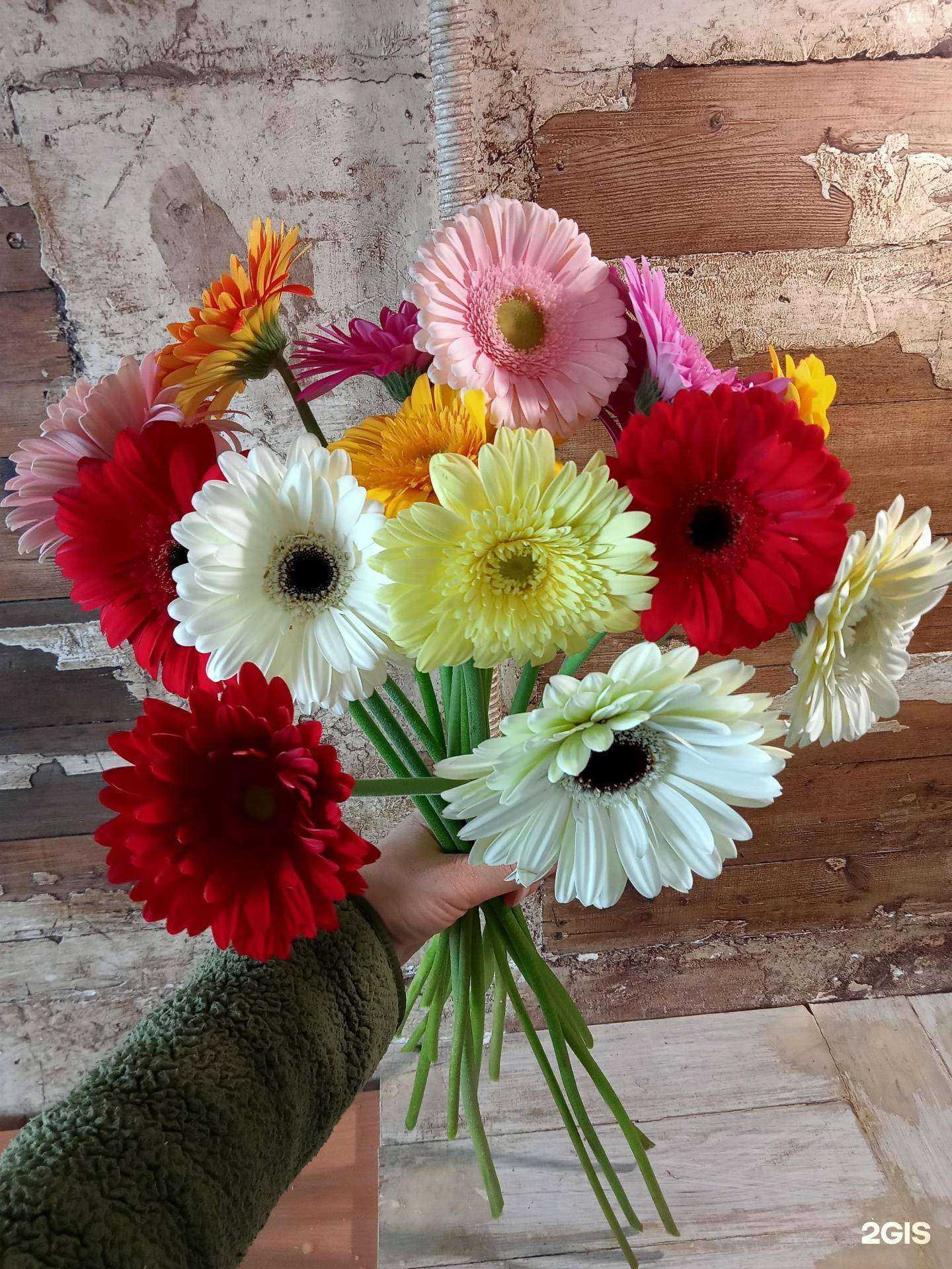 Отзывы на компанию Подсолнухи в Рязани c фото