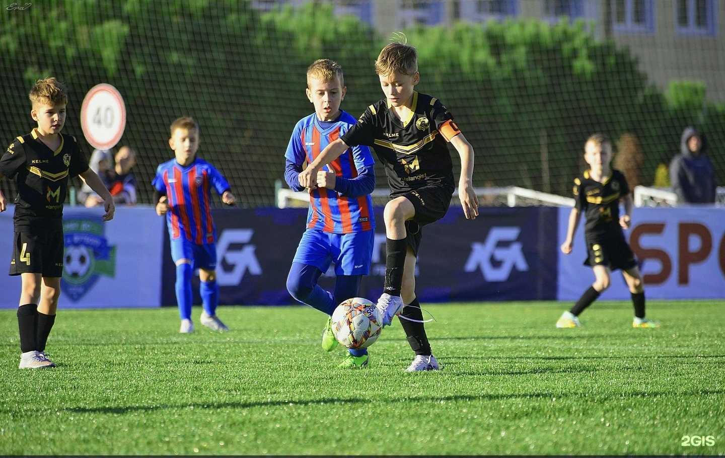 Отзывы на компанию Красный Яр kids в Красноярске c фото