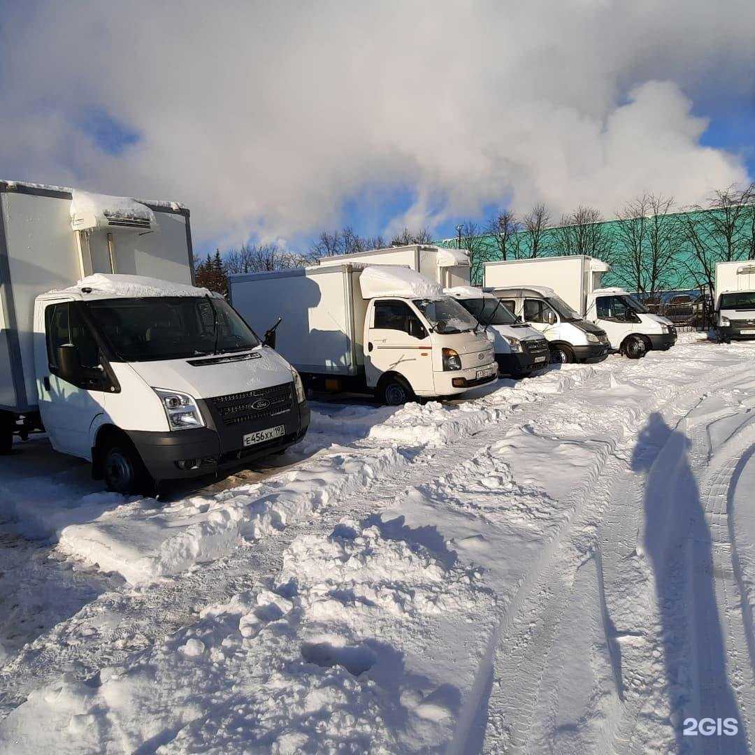 Отзывы на компанию Дм драйв в г. Реутов c фото