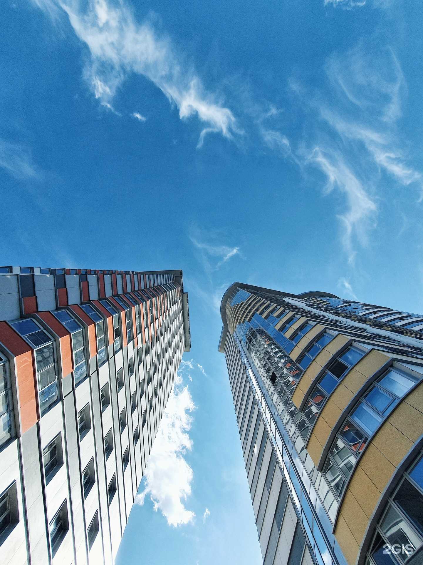 Отзывы на компанию ArliVR  в г. Новосибирск c фото