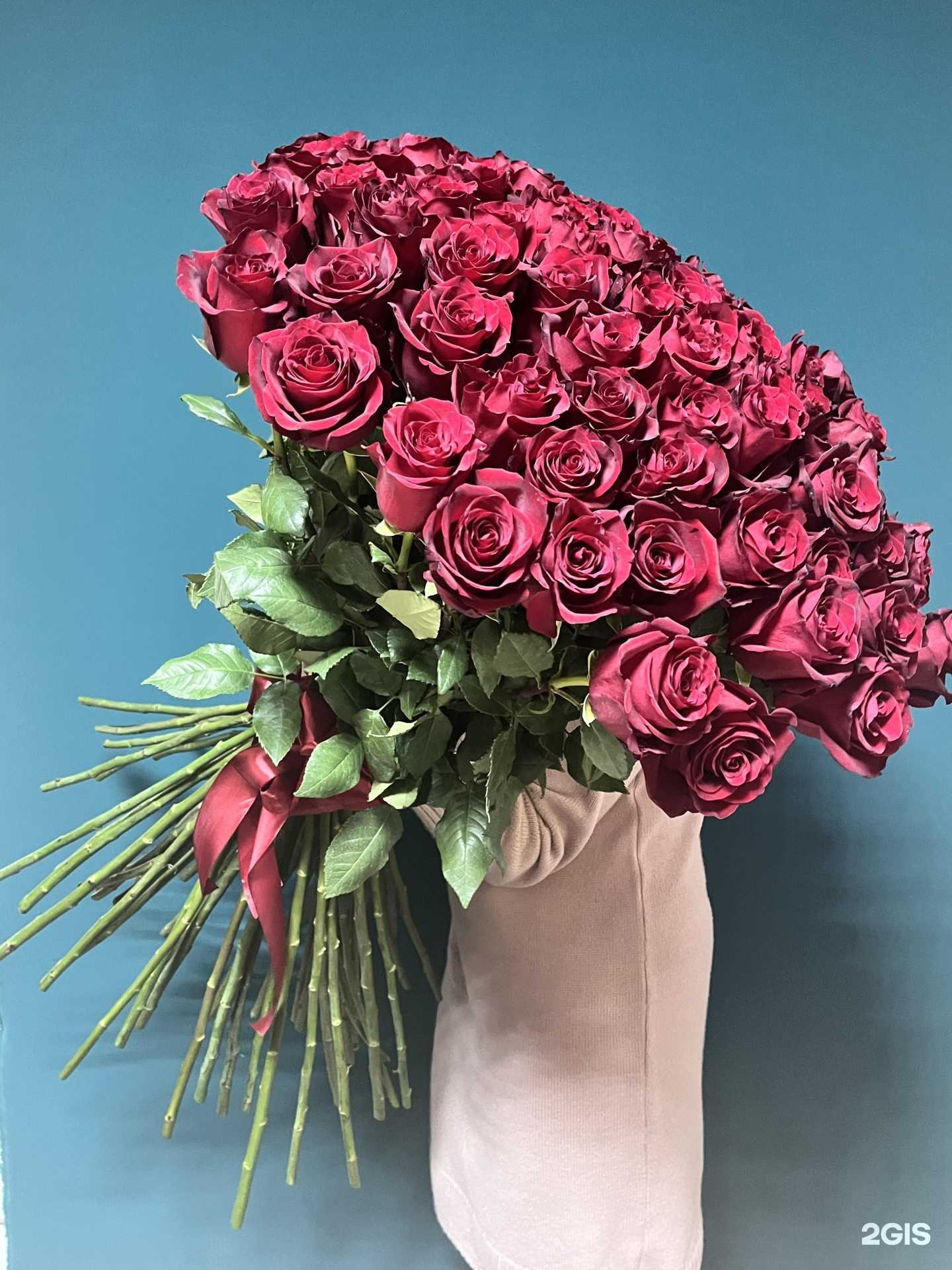 Отзывы на компанию Виктория в Кургане c фото