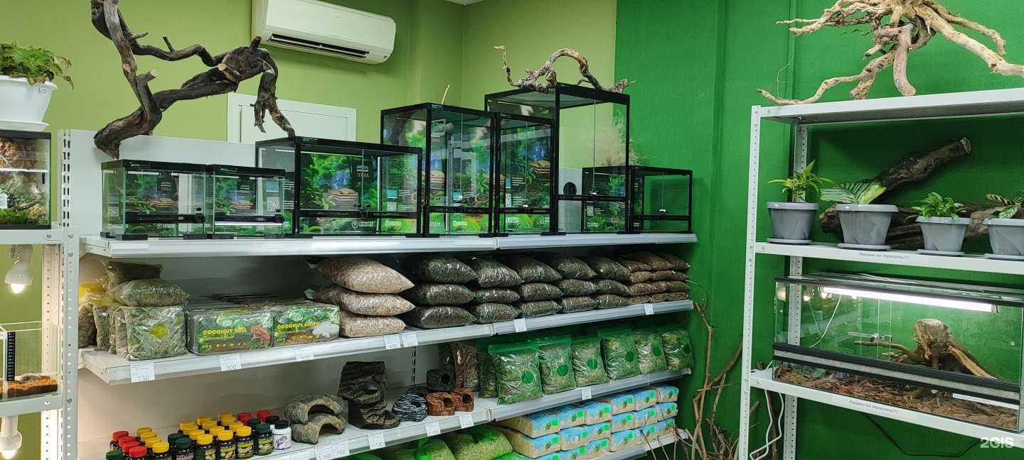 Отзывы на компанию Ekzotika48 в Липецке c фото