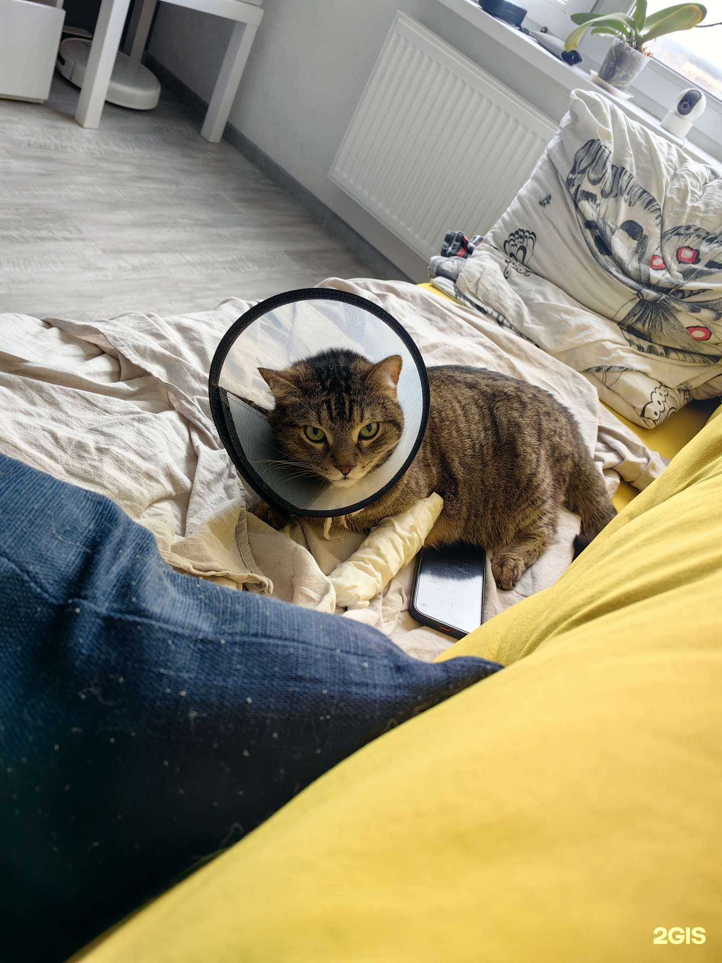 Отзывы на компанию Правильное решение в г. Екатеринбург c фото