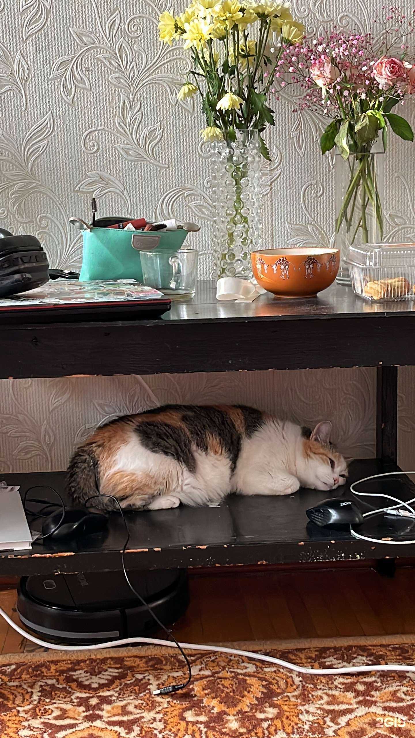 Отзывы на компанию Хеликс в Ставрополе c фото - фотография 2 из 2