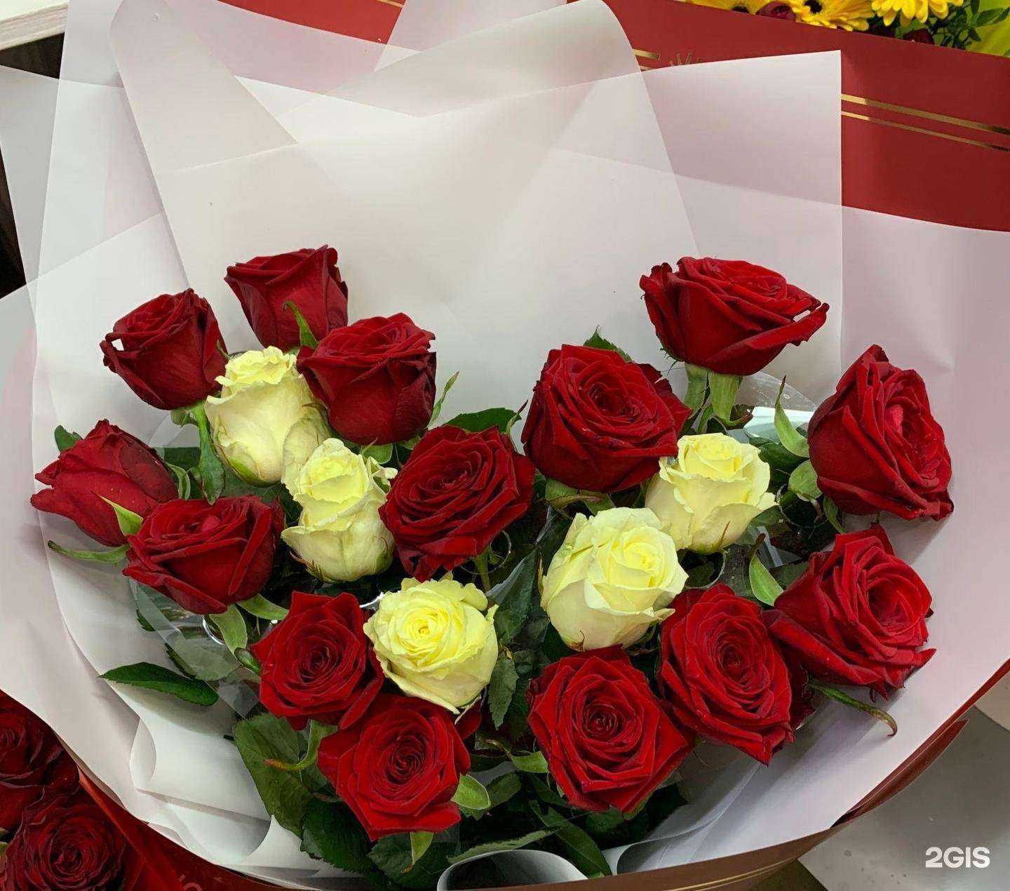 Отзывы на компанию Эквадор в Туле c фото