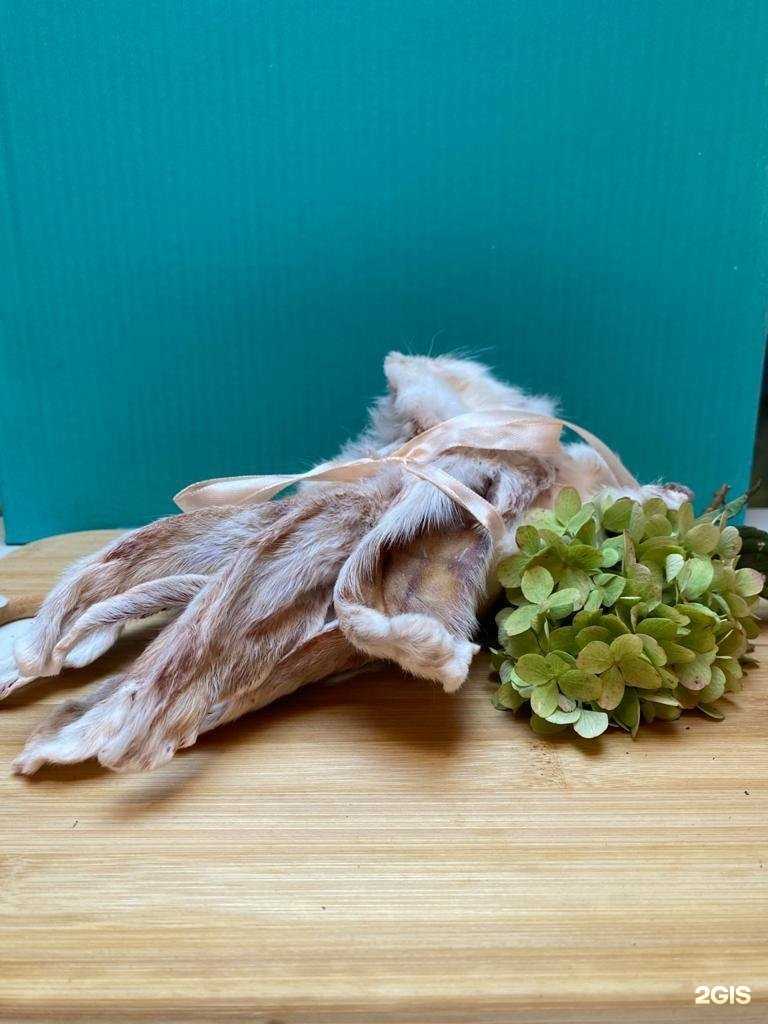 Отзывы на компанию AiryGo в Воронеже c фото